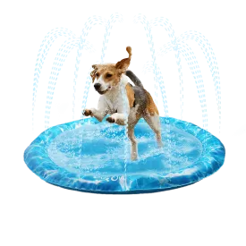 All For Paws Chill Out Sprinkler Fun Mat