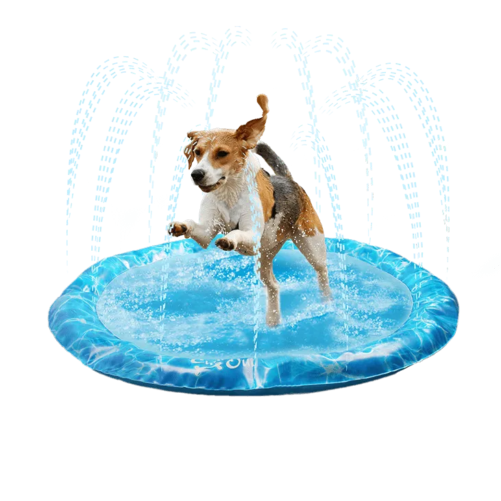 All For Paws Chill Out Sprinkler Fun Mat