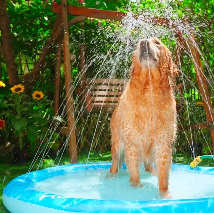 All For Paws Chill Out Sprinkler Fun Mat