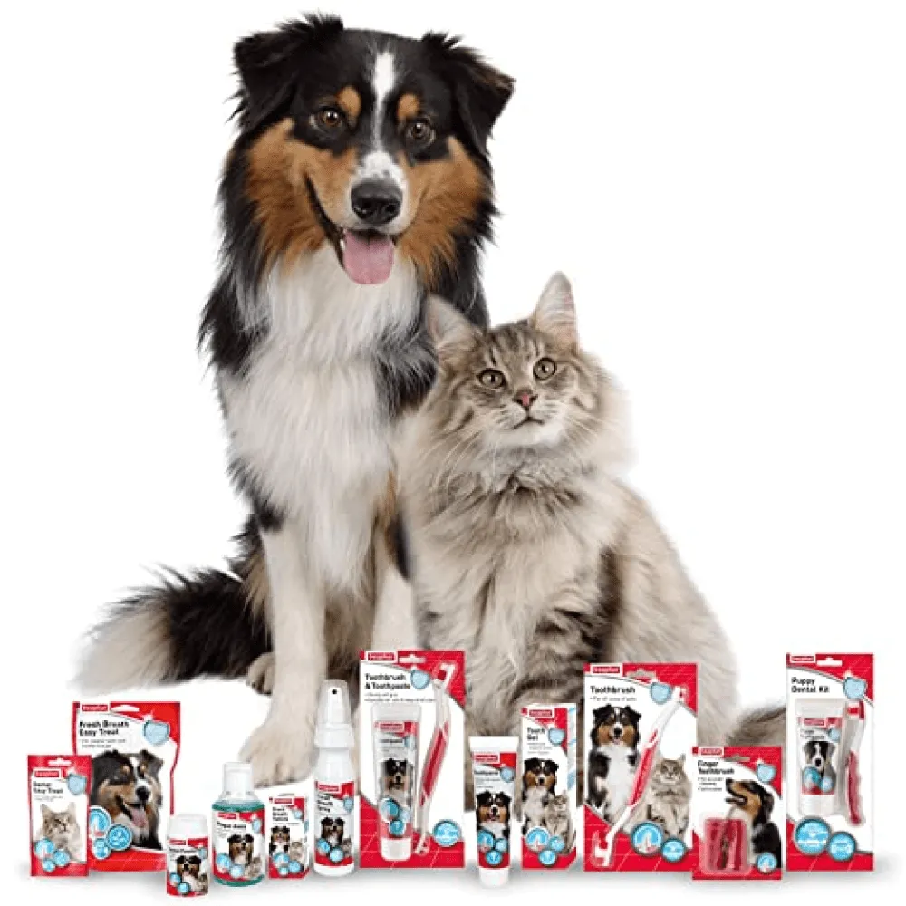 Beaphar Tooth Gel for Dogs and Cats