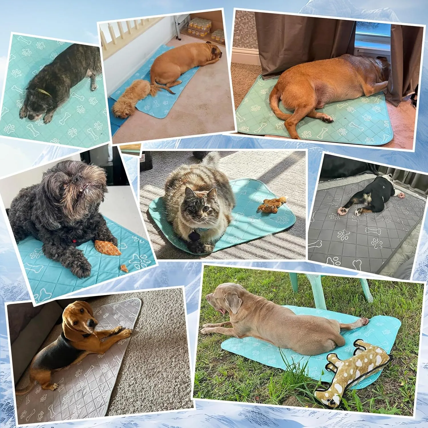 BEAUTYZOO Dog Cooling Mat-Cooling Mat for Dogs Cats in Summer Keep Cool QMAX>0.4, Washable, Non-Slip Portable Pet Cooling Pad for Grate Sofa Bed Outdoor, 23" x 35"