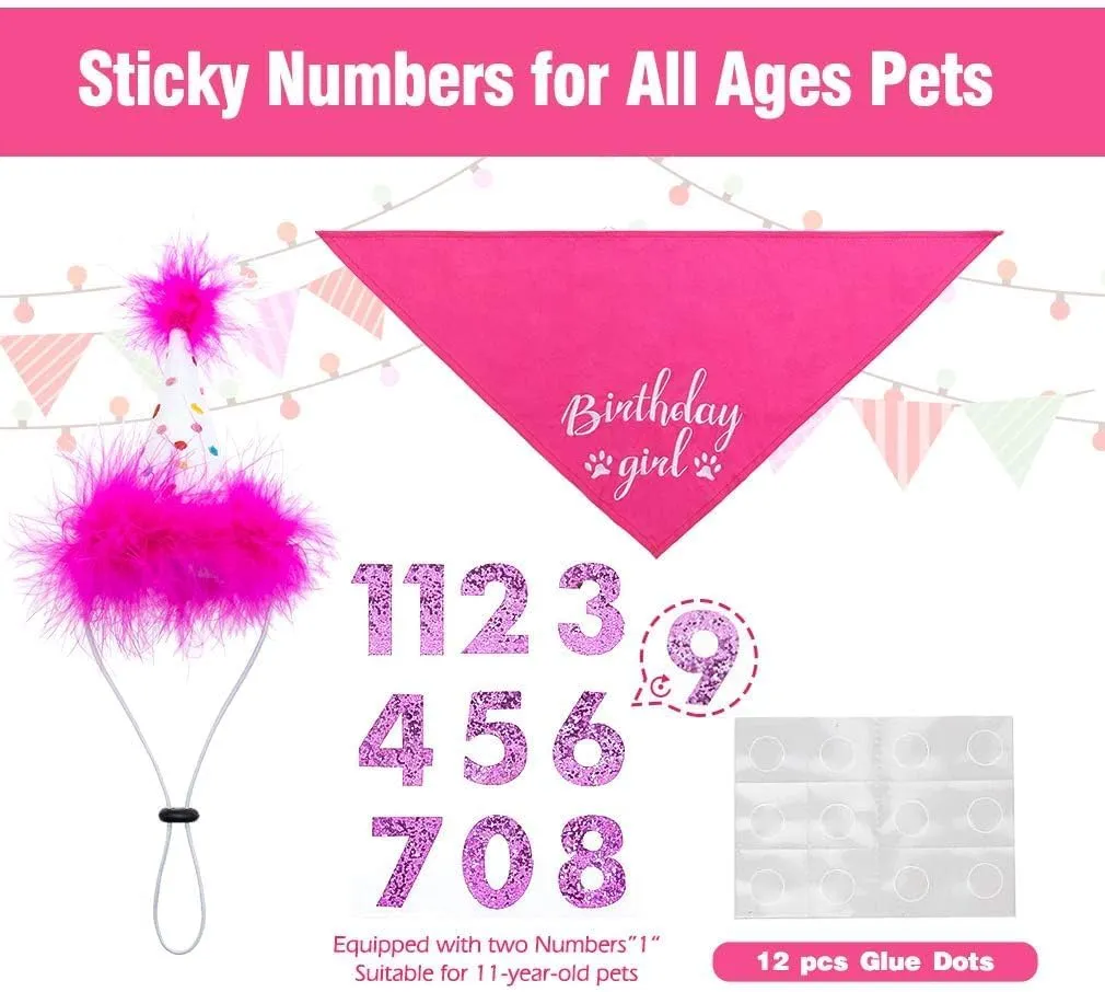 BINGPET Dog Birthday Bandana Scarf and Reusable Hat with 0-8 Figures,Cute Puppy Dog Birthday Outfit Party Supplies Gift for Small Medium Large Dogs Girl