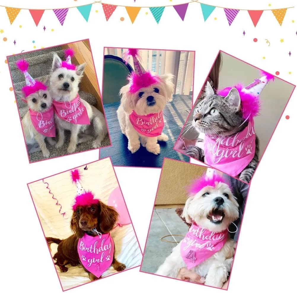 BINGPET Dog Birthday Bandana Scarf and Reusable Hat with 0-8 Figures,Cute Puppy Dog Birthday Outfit Party Supplies Gift for Small Medium Large Dogs Girl