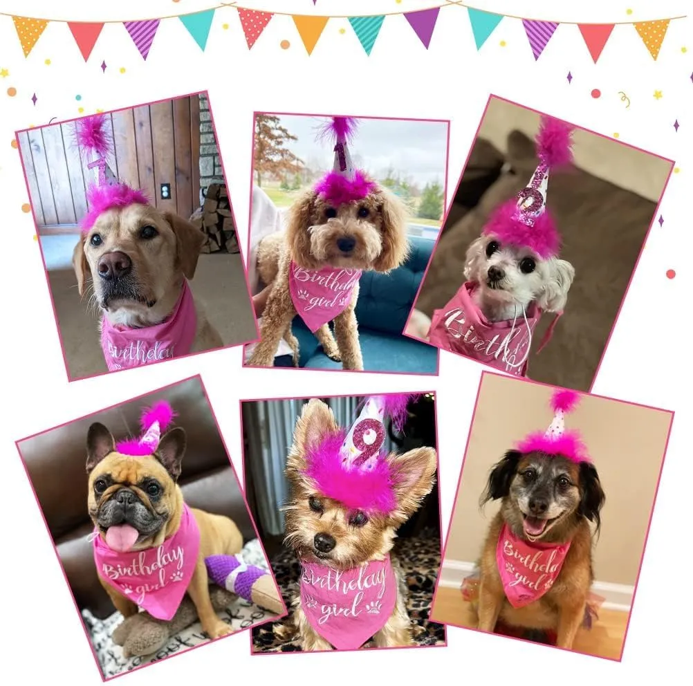 BINGPET Dog Birthday Bandana Scarf and Reusable Hat with 0-8 Figures,Cute Puppy Dog Birthday Outfit Party Supplies Gift for Small Medium Large Dogs Girl