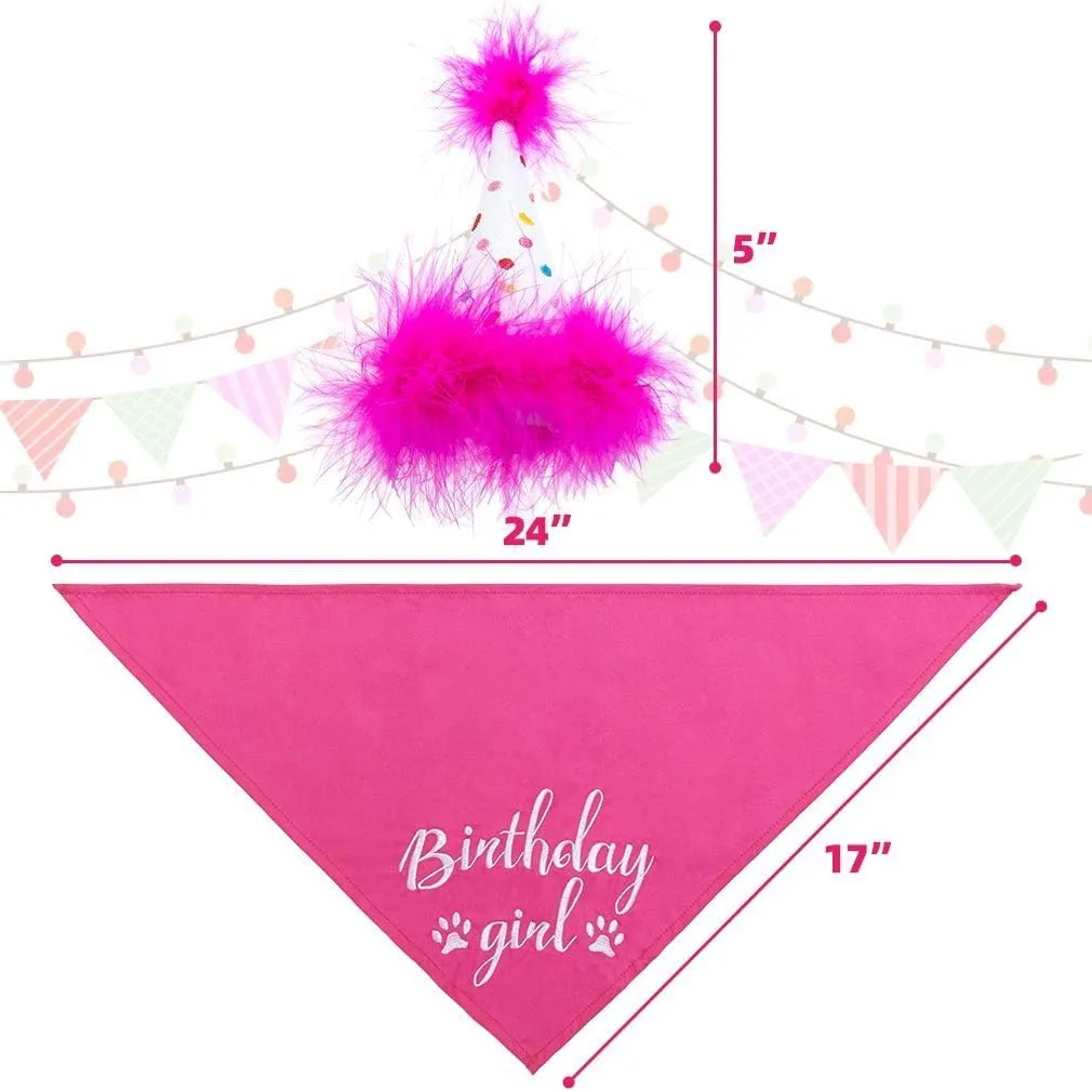 BINGPET Dog Birthday Bandana Scarf and Reusable Hat with 0-8 Figures,Cute Puppy Dog Birthday Outfit Party Supplies Gift for Small Medium Large Dogs Girl