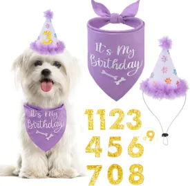 BINGPET Dog Birthday Bandana Scarf and Reusable Hat with 0-8 Figures,Cute Puppy Dog Birthday Outfit Party Supplies Gift for Small Medium Large Dogs Girl(Large)