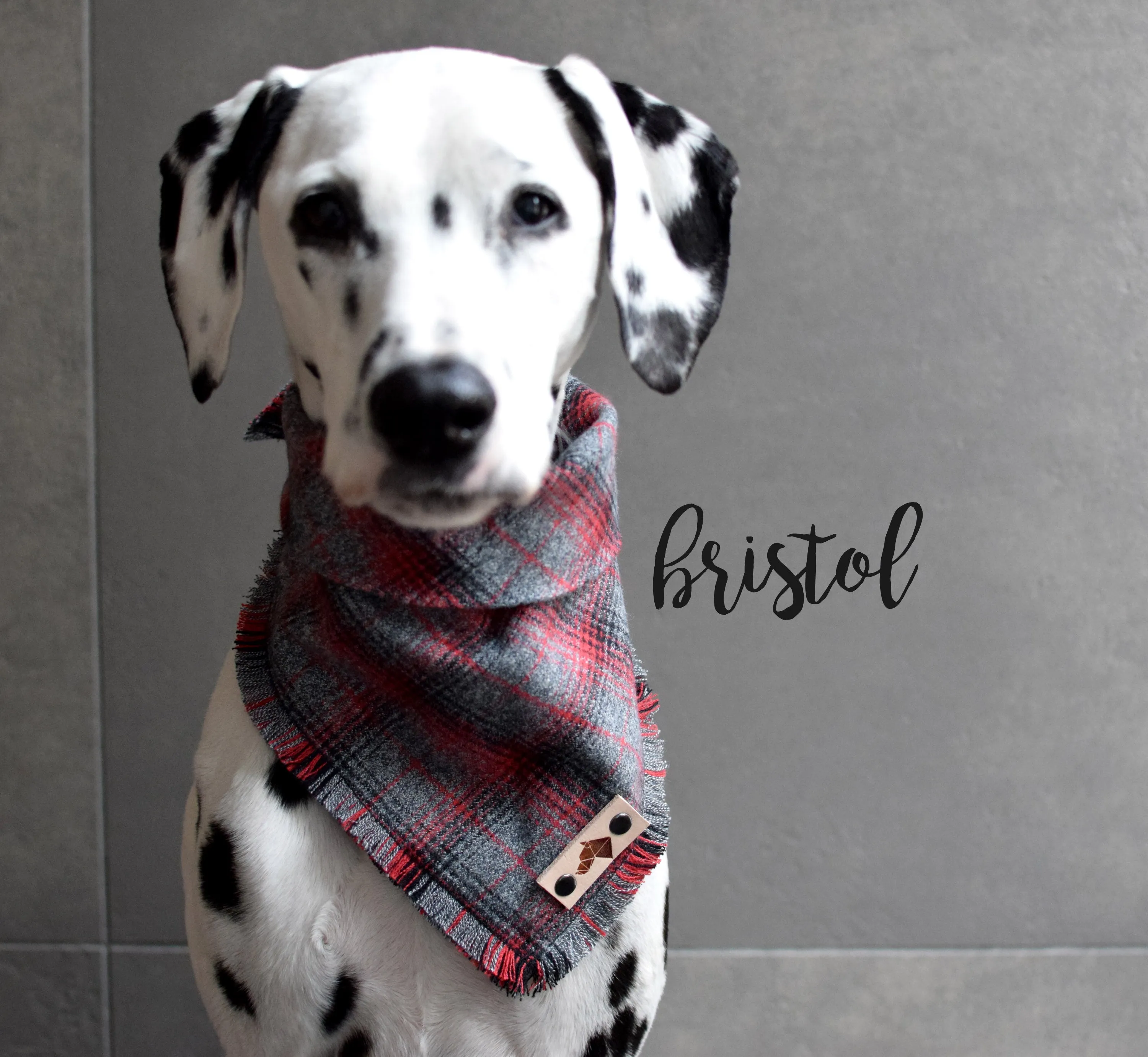 BRISTOL Fringed Flannel Dog Bandana - Snap/Tie On Cotton Scarf