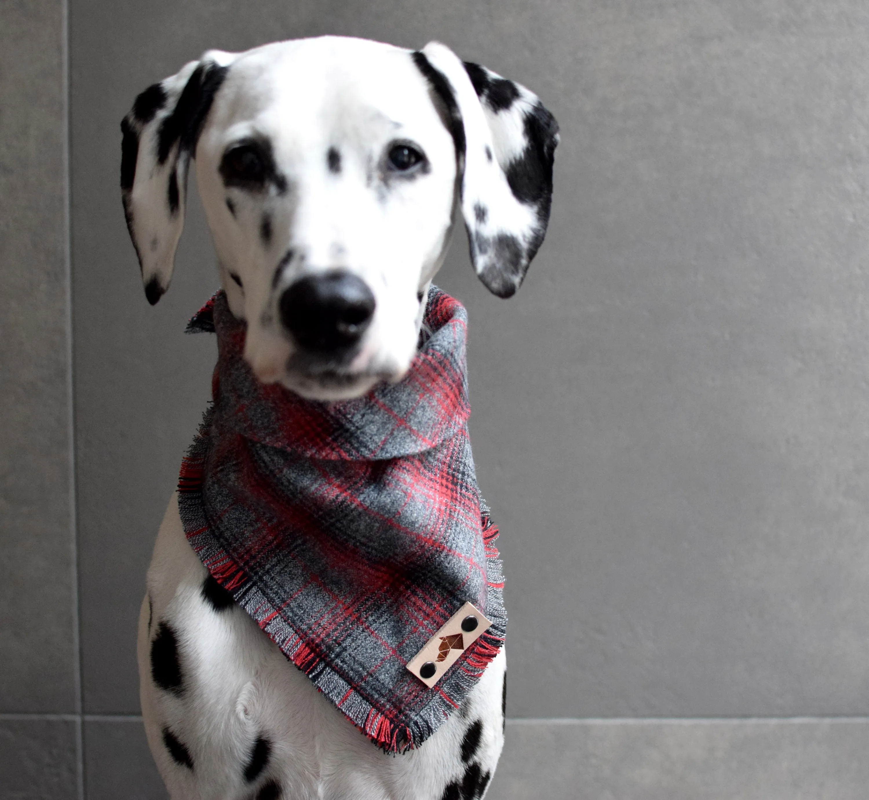 BRISTOL Fringed Flannel Dog Bandana - Snap/Tie On Cotton Scarf