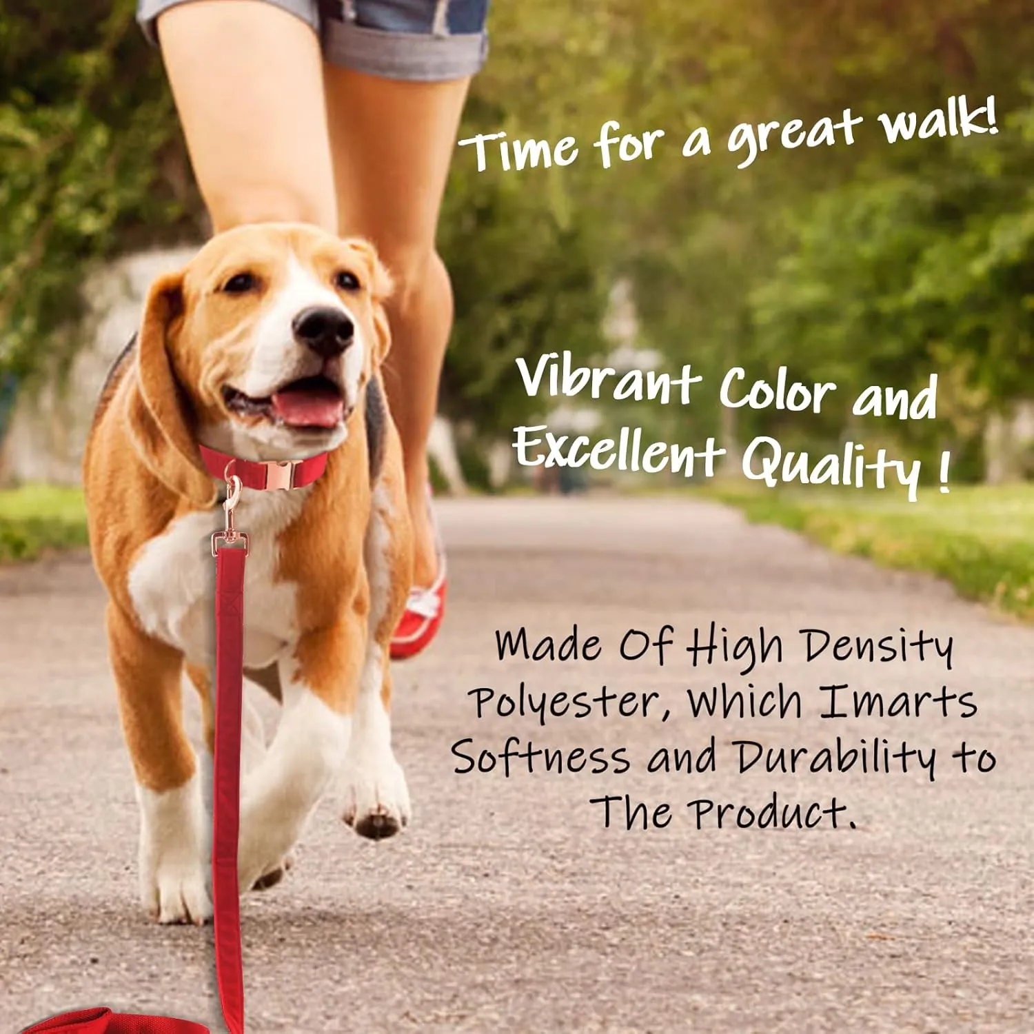 Bubblepup Velvet Dog Collar and Leash Set, Dog Collars for Small Medium Large Dogs Leash for Training & Walking
