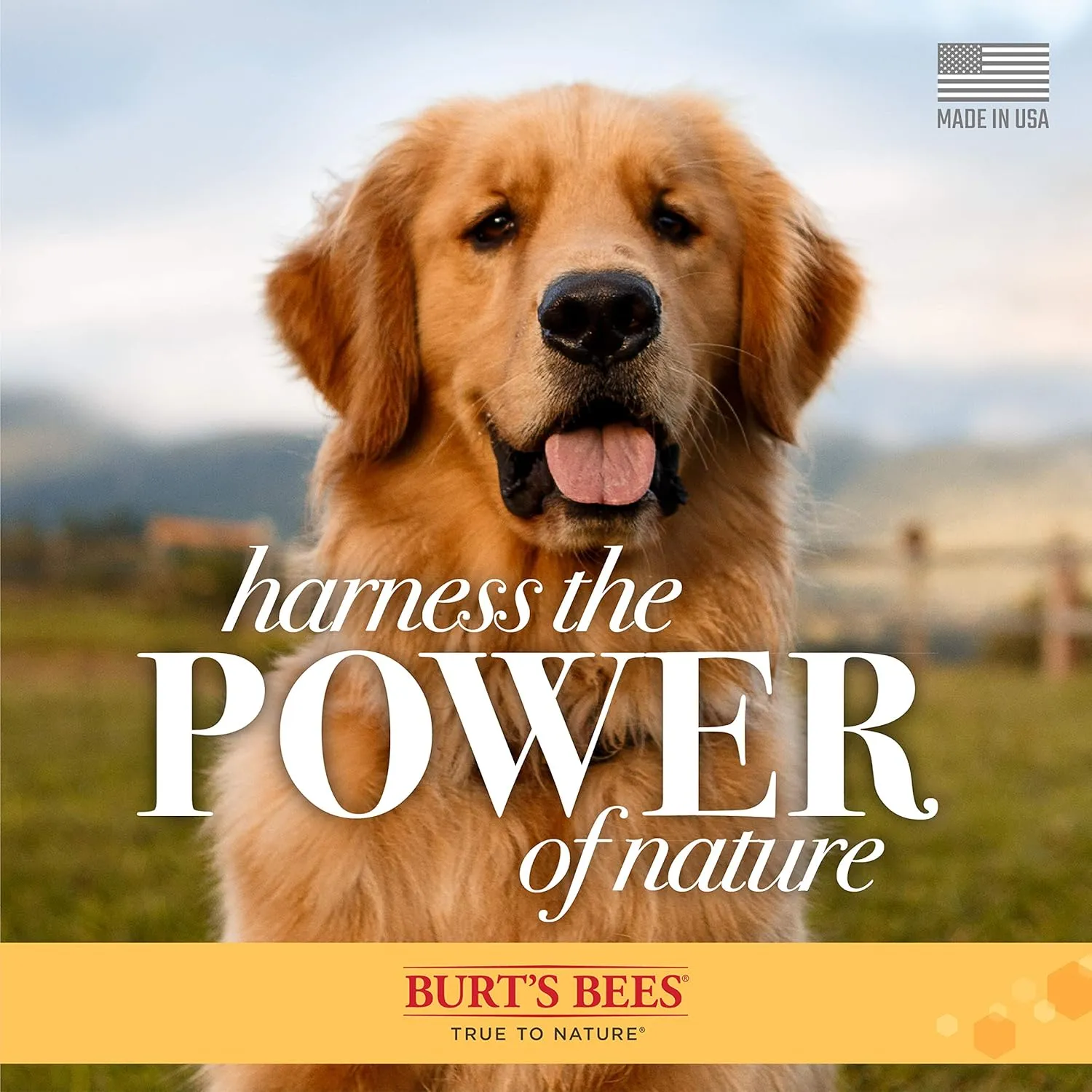 Burt's Bees for Pets Itch Soothing Spray with Honeysuckle, 95% Natural Origin Formulas, Canine Spritz for Itchy Dogs, 2pk 10oz