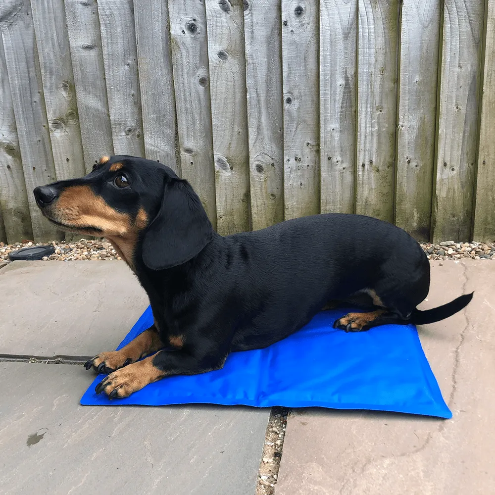 Cool'Em Cooling Mat
