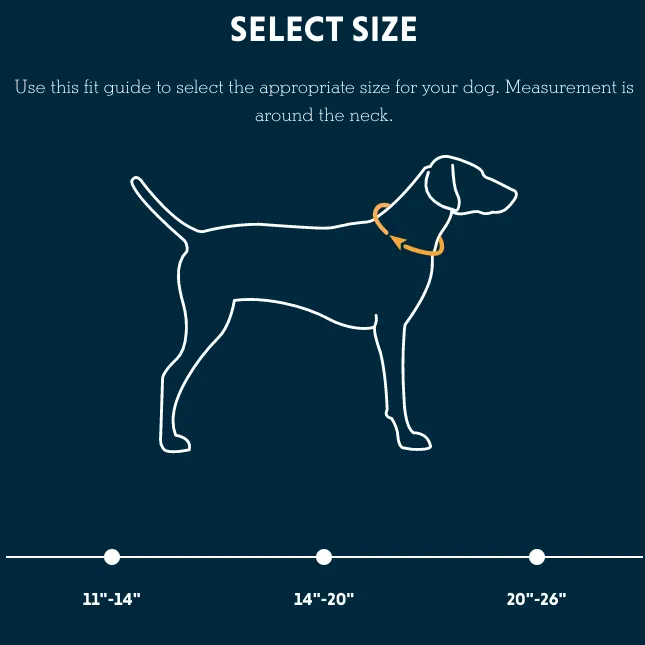 Crag Collar