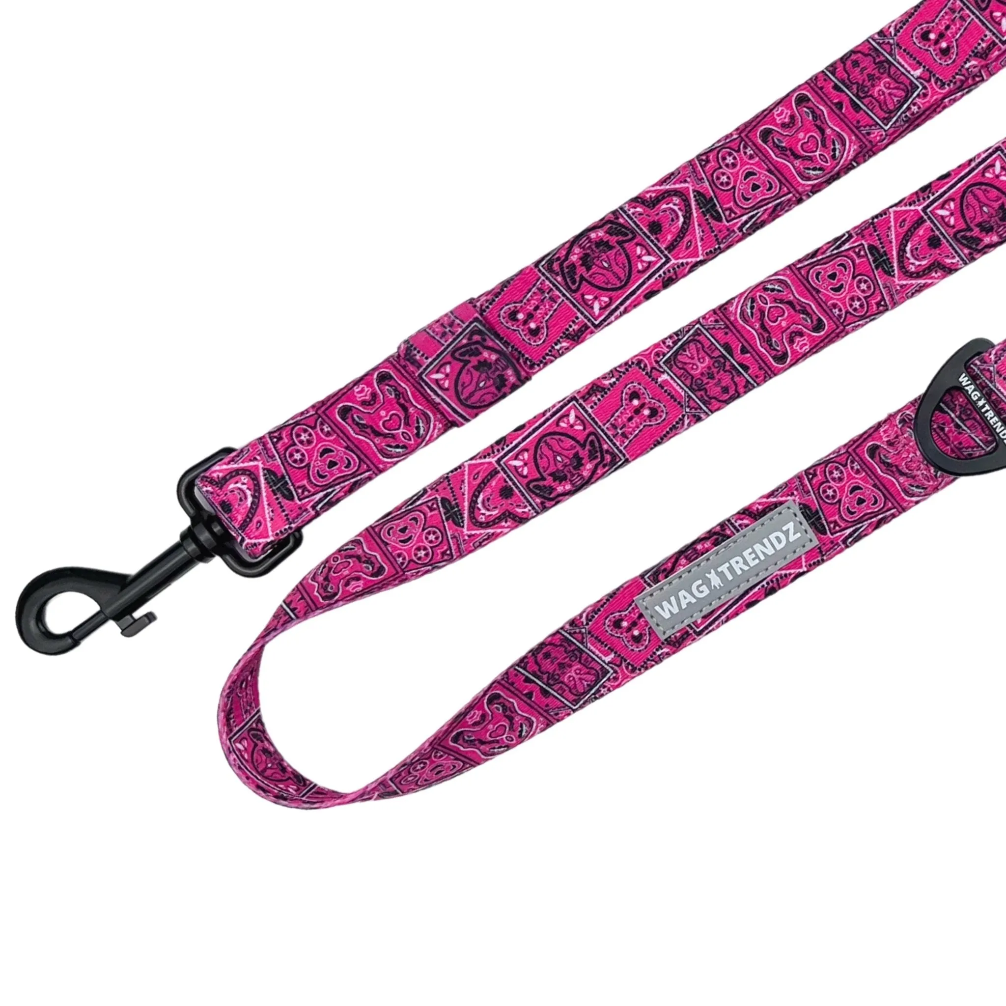 Dog Collar and Leash Set | Bandana Boujee Hot Pink