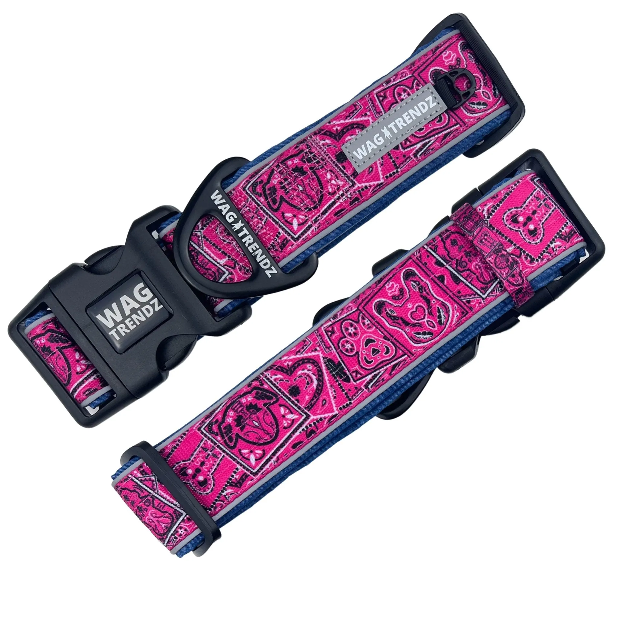 Dog Collar and Leash Set | Bandana Boujee Hot Pink