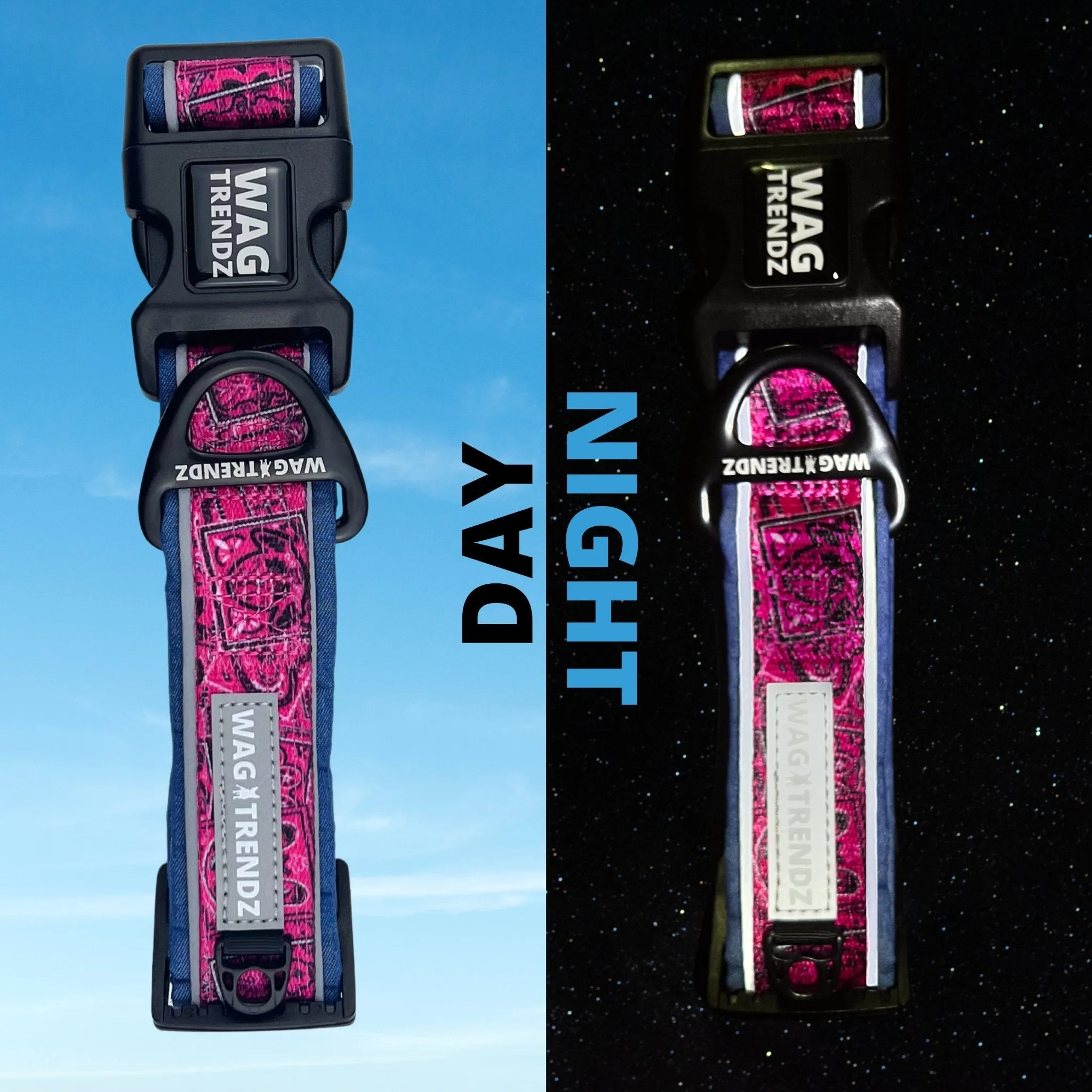 Dog Collar and Leash Set | Bandana Boujee Hot Pink