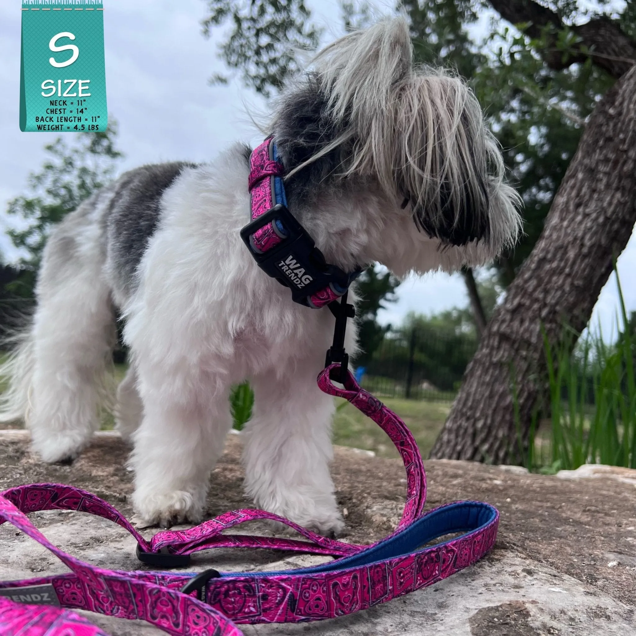 Dog Collar and Leash Set | Bandana Boujee Hot Pink
