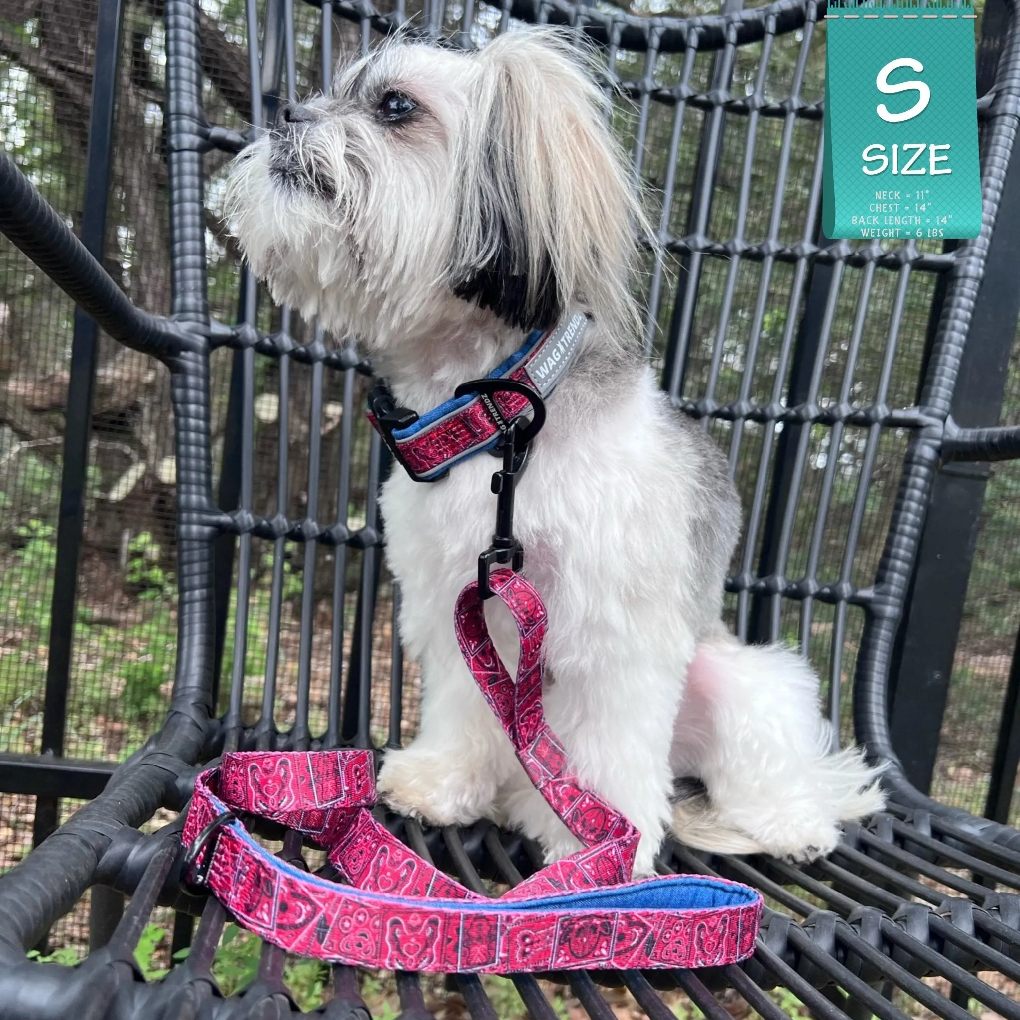 Dog Collar and Leash Set | Bandana Boujee Red
