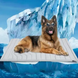 Dog Cooling Mat, Large, Medium, Small, Cooling Pad Reversible (Cool & Warm), Pet Cool Mats for Dog and Cat use in Crate, Kennel, Bed, Sofa, Machine Washable, Durable, Non-Gel, Glacial Grey (60x40 in)