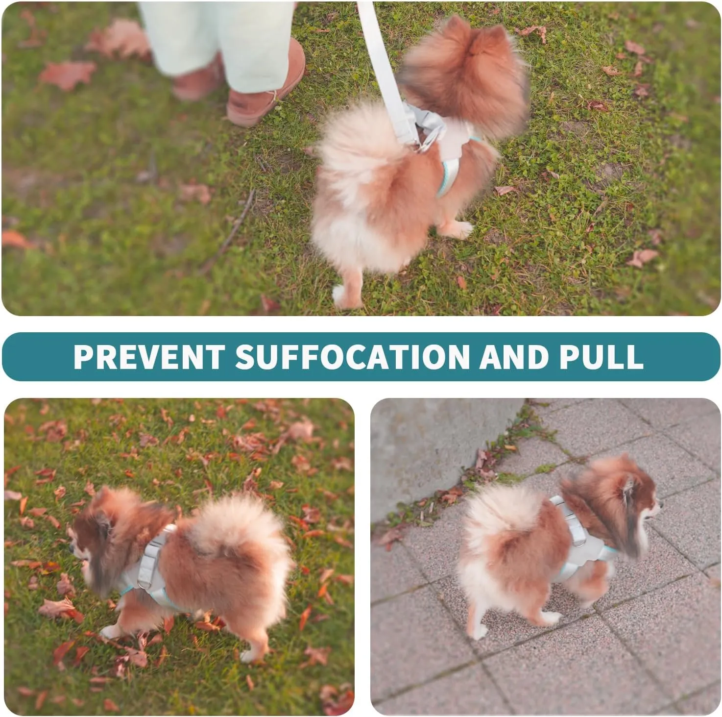 Dog Harness and Leash Set: Soft No Pull Dog Harness for Small Dogs/Medium Dog Harness/Cats, Adjustable Puppy Harness and Leash Set Training Dog Vest Harness for Walking Running (Yellow, Large)