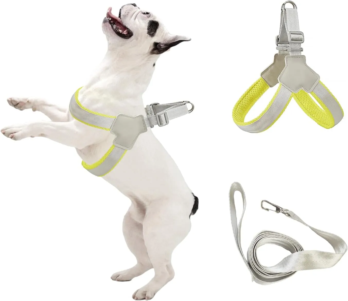 Dog Harness and Leash Set: Soft No Pull Dog Harness for Small Dogs/Medium Dog Harness/Cats, Adjustable Puppy Harness and Leash Set Training Dog Vest Harness for Walking Running (Yellow, Large)