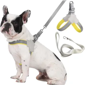 Dog Harness and Leash Set: Soft No Pull Dog Harness for Small Dogs/Medium Dog Harness/Cats, Adjustable Puppy Harness and Leash Set Training Dog Vest Harness for Walking Running (Yellow, Large)