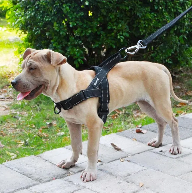 Dog Harness Easy On and Off