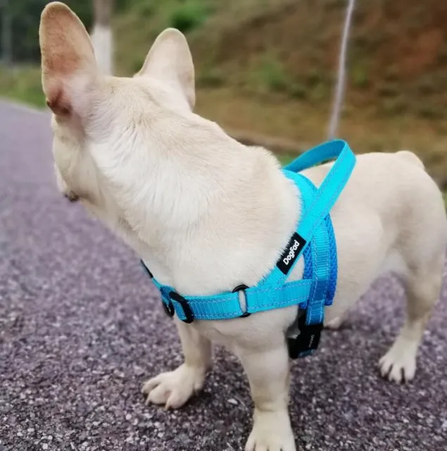 Dog Harness Easy On and Off