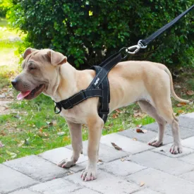 Dog Harness Easy On and Off