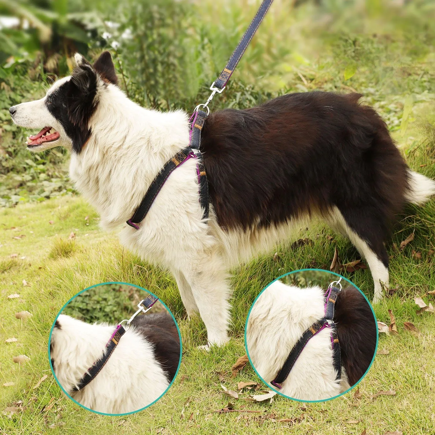 Dog Harness Leash and Collar Matching Sets for Small Puppy Medium Large Dogs Pets, Heavy Duty Nylon with Denim Design, Perfect Accessories for Walking Training Your Dog(L,Pink)