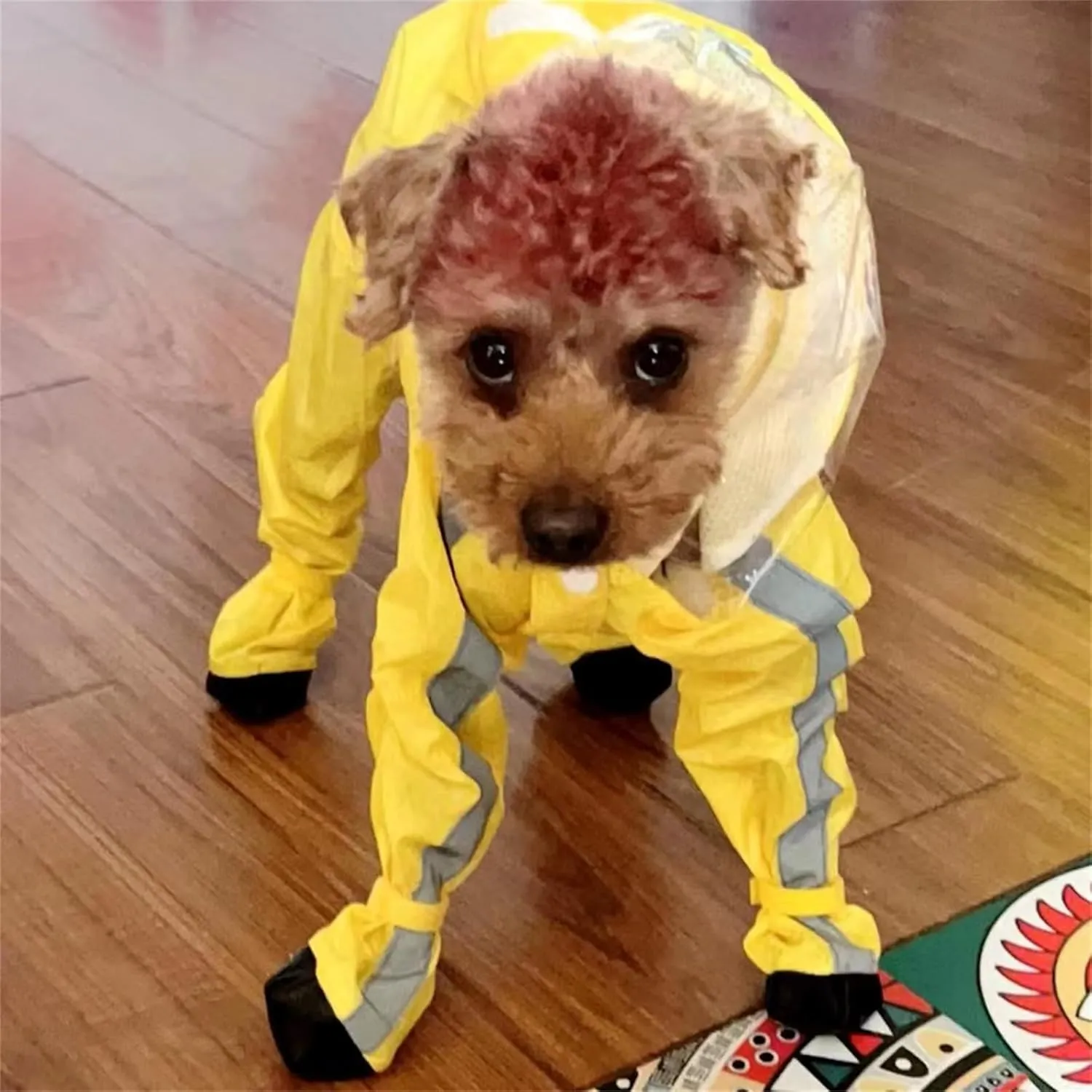 Dog Raincoat with Boots,Waterproof Dog Raincoats with Hood for Small Medium Large Dogs,Raincoat with Reflective Strap, Lightweight Rain Jacket with Leash Hole (Yellow Flower, X-Small)