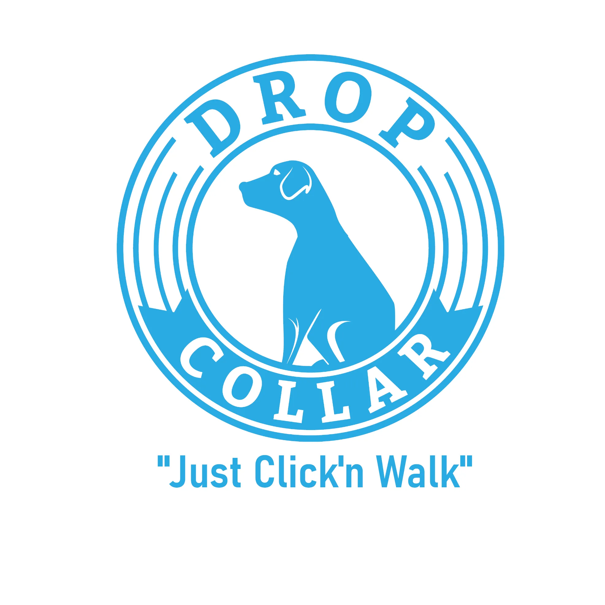 Drop Collar Reflective Nylon Leash with Sleek D-Ring for Accessories & Soft Padded Gel Handle for Comfort (Shorty)
