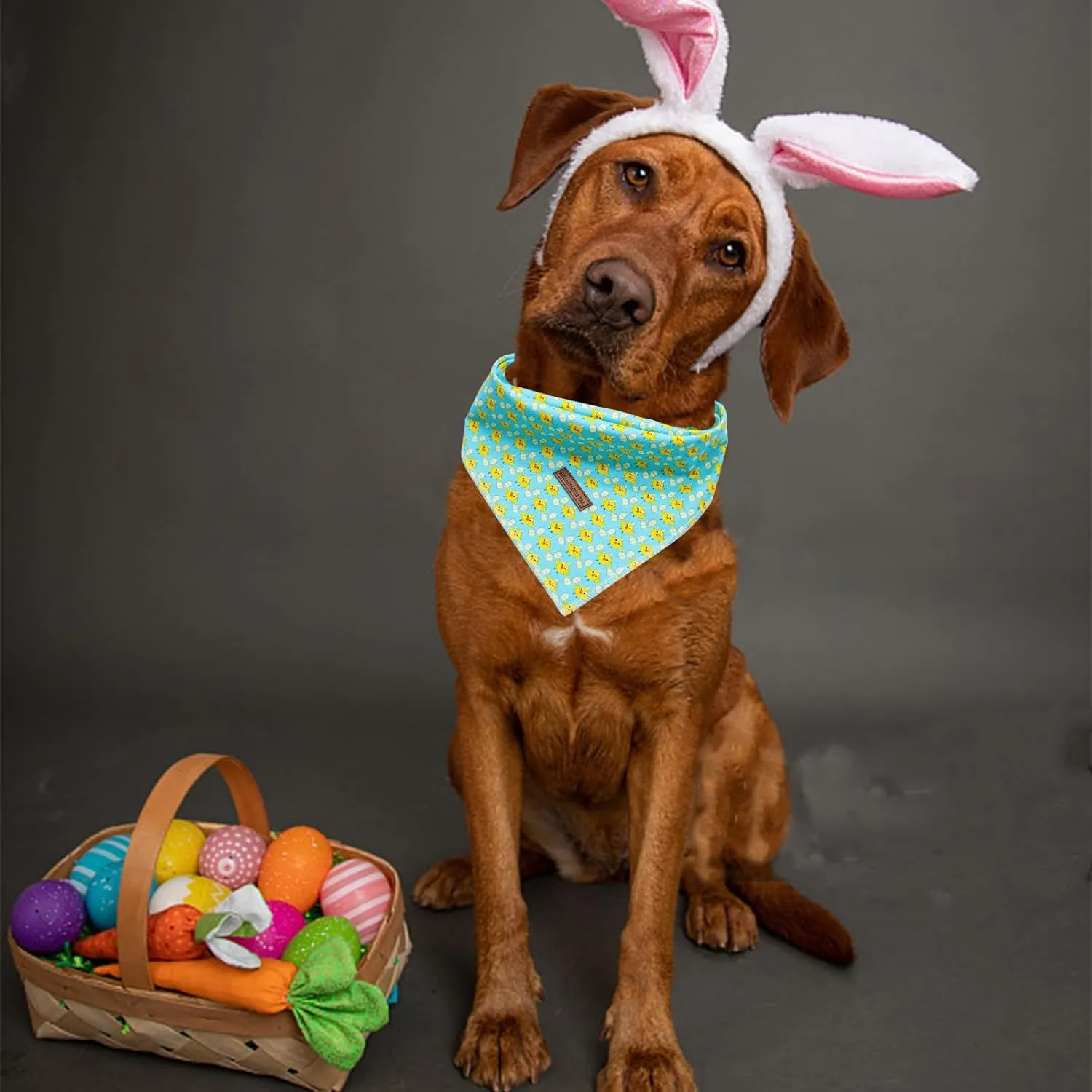 Elegant little tail Easter Dog Bandana, Chicken Eggs 1PC Washable Dog Scarf Female or Male Square Dog Bib Kerchief Scarf Adjustable Pet Bandana for Medium Large Dogs