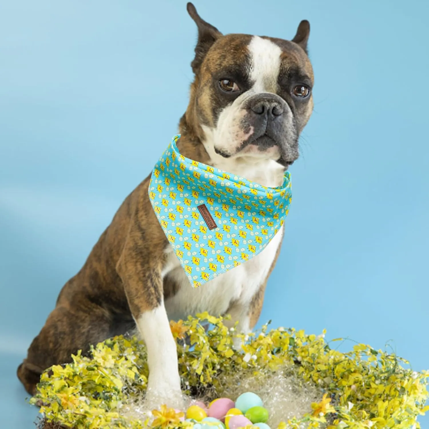 Elegant little tail Easter Dog Bandana, Chicken Eggs 1PC Washable Dog Scarf Female or Male Square Dog Bib Kerchief Scarf Adjustable Pet Bandana for Medium Large Dogs
