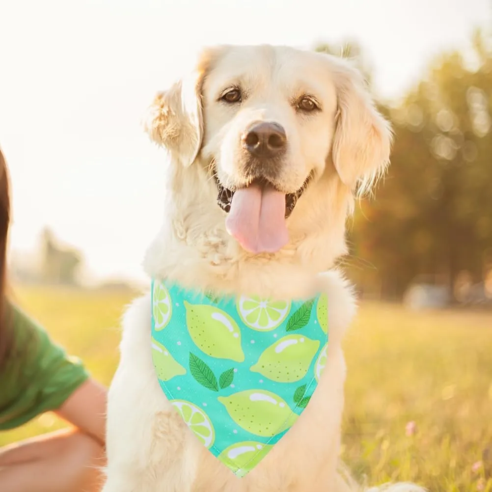 EXPAWLORER Dog Cooling Bandana - 3 Pack Summer Cool Down Hawaii Triangle Pet Scarf Ice Vest Neck Wrap Cooler in Cute Fruits Pattern, Perfect for Small Medium Large Breeds, Large