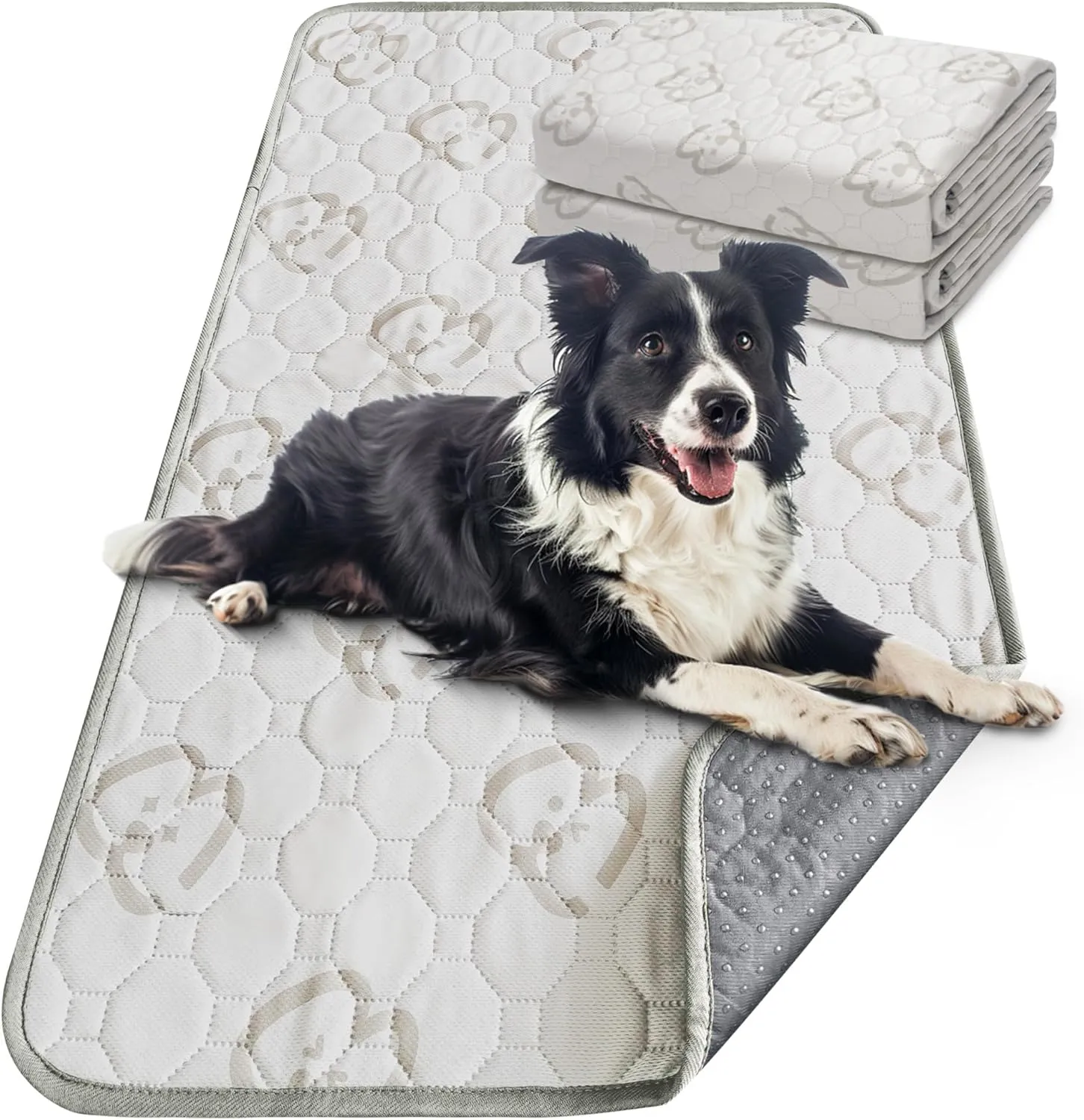 FXW Washable Pee Pads for Dogs, Puppy Pads with Super Absorbent, Specifically Designed for Potty Training, Rectangle, 70" x 30", 2 Packs
