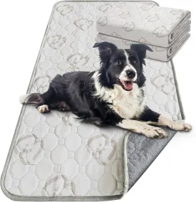 FXW Washable Pee Pads for Dogs, Puppy Pads with Super Absorbent, Specifically Designed for Potty Training, Rectangle, 70" x 30", 2 Packs