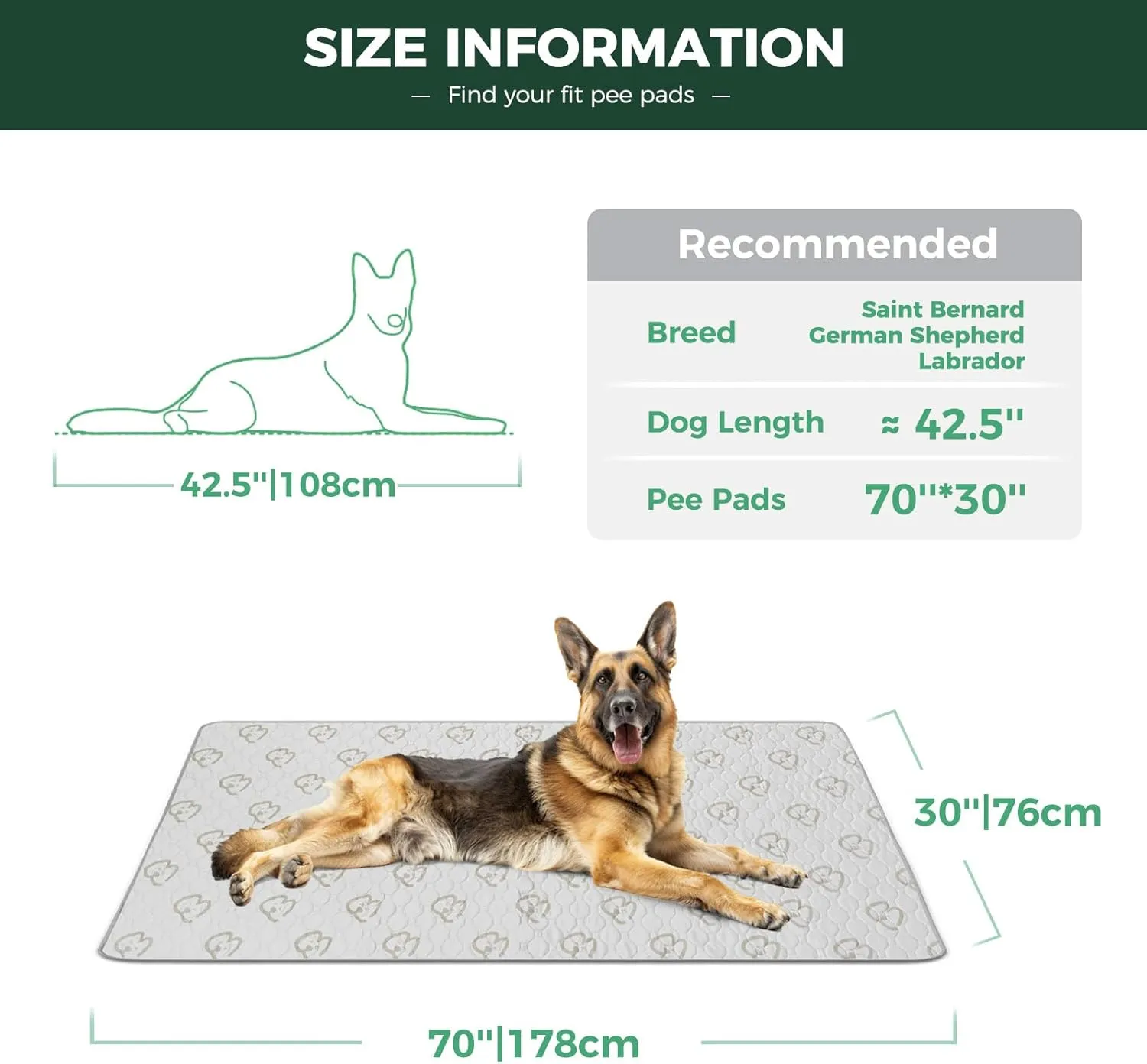 FXW Washable Pee Pads for Dogs, Puppy Pads with Super Absorbent, Specifically Designed for Potty Training, Rectangle, 70" x 30", 2 Packs
