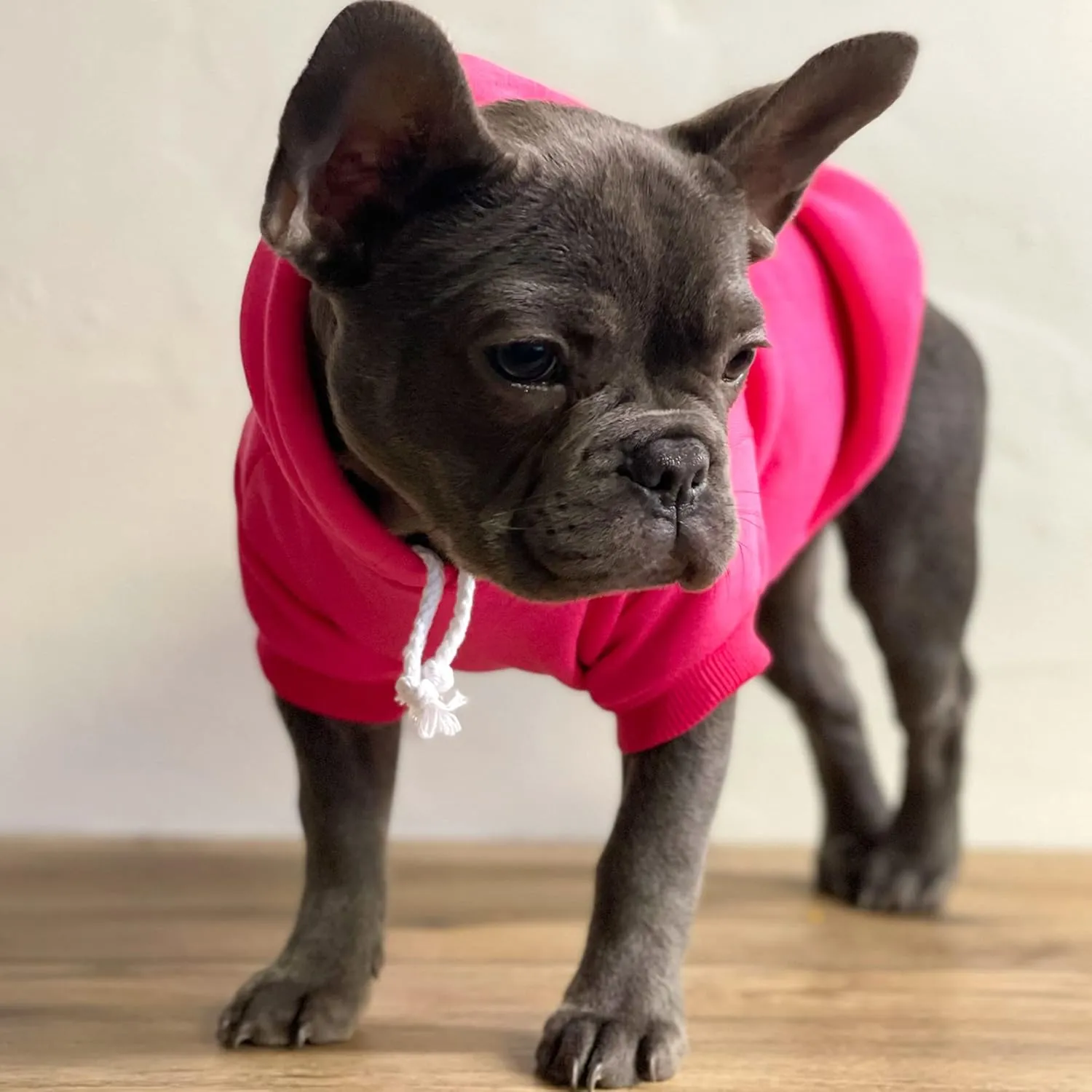 Happy Easter Dog Hoodie Fleece Lined Pullover Sweatshirt with Leash Hole (Hot Pink, X-Large 1216)