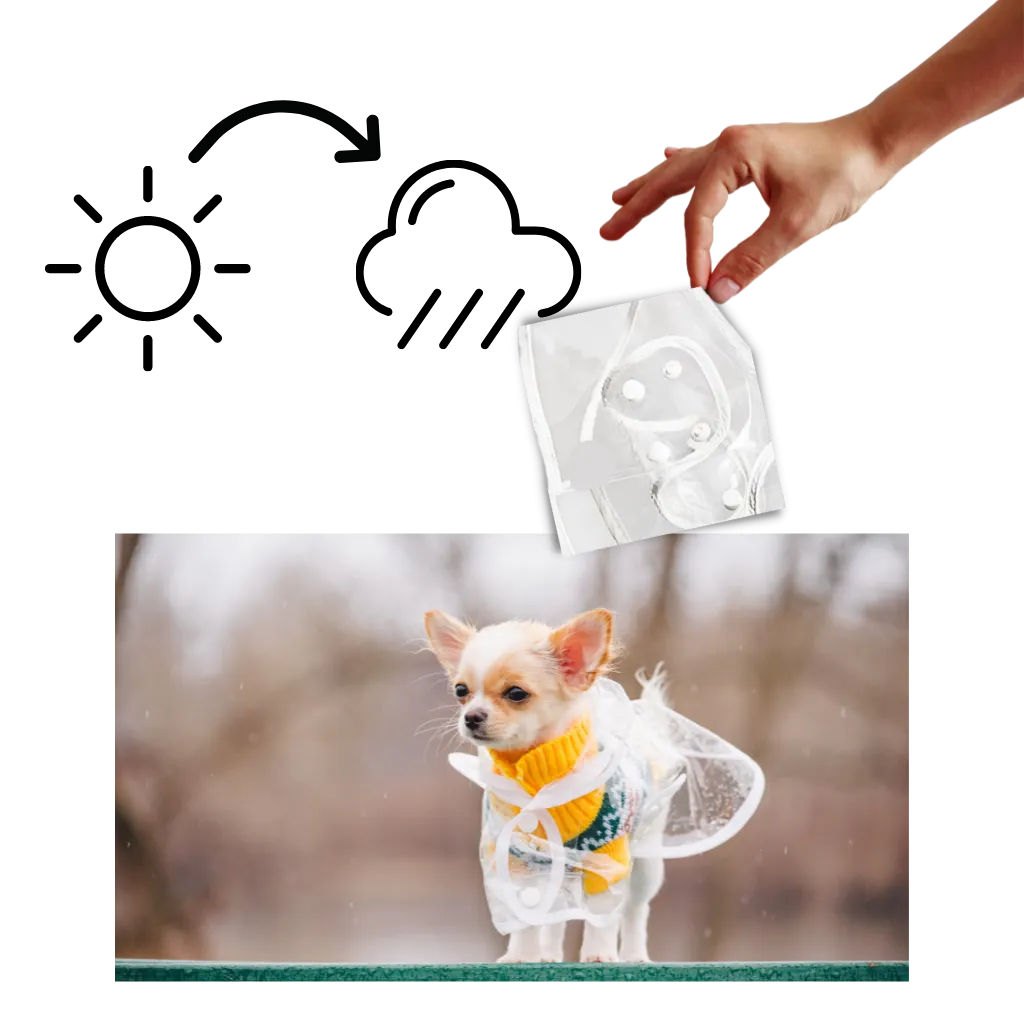 Hooded Raincoat for Dogs
