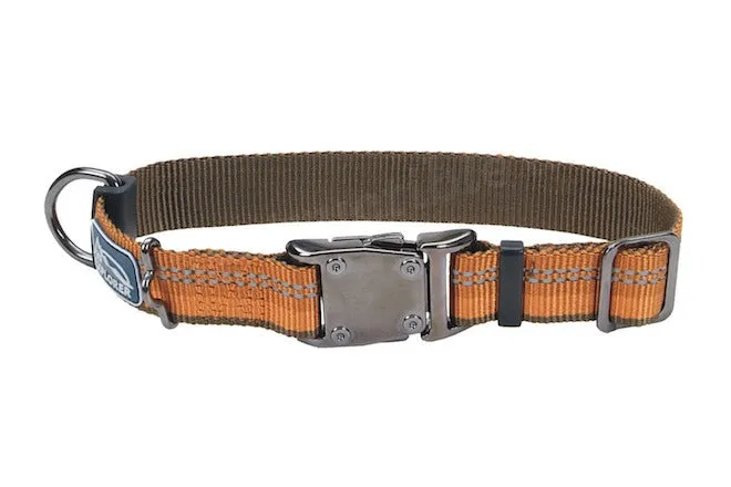 K9 Explorer Collar
