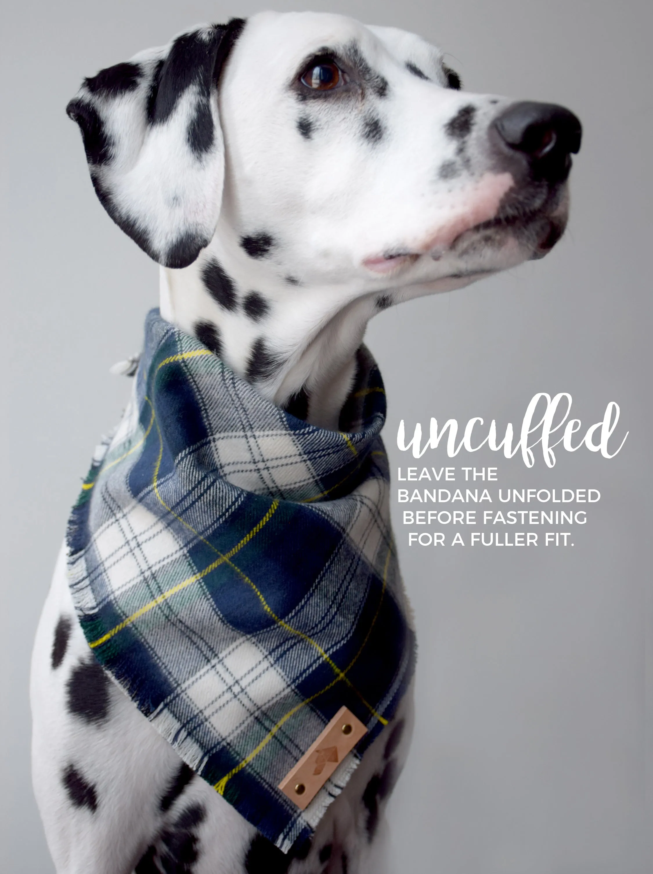LARIMAR Fringed Flannel Dog Bandana - Snap/Tie On Cotton Scarf