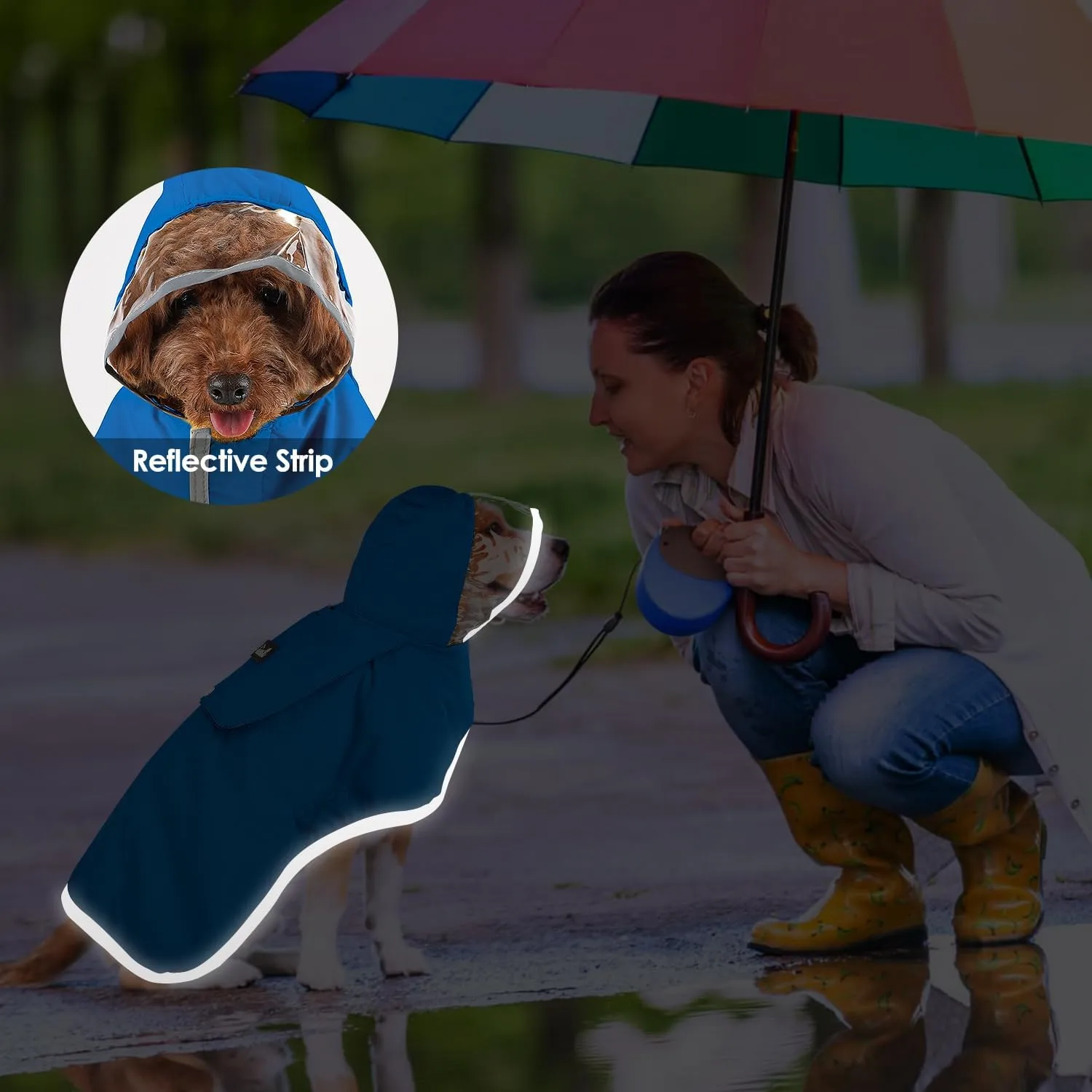 Lukovee Dog Raincoat, Adjustable Dog Rain Jacket with Clear Hooded Double Layer for Large Medium Small Dogs Puppies, Waterproof Rain Coat Poncho with Reflective Storage Pocket & Rim (BL,M)