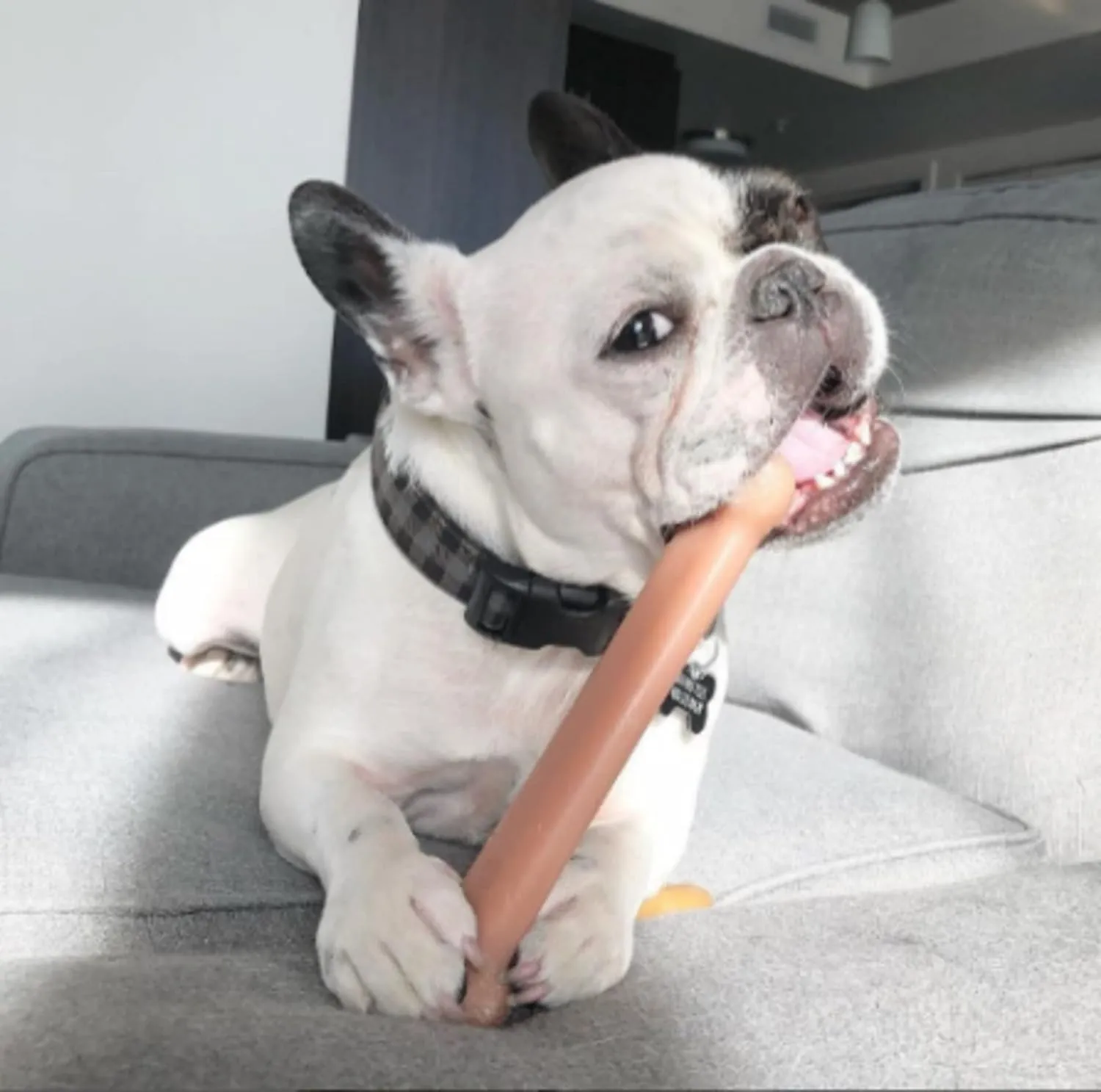 Nylabone Power Chewer Bacon, Dog Toy