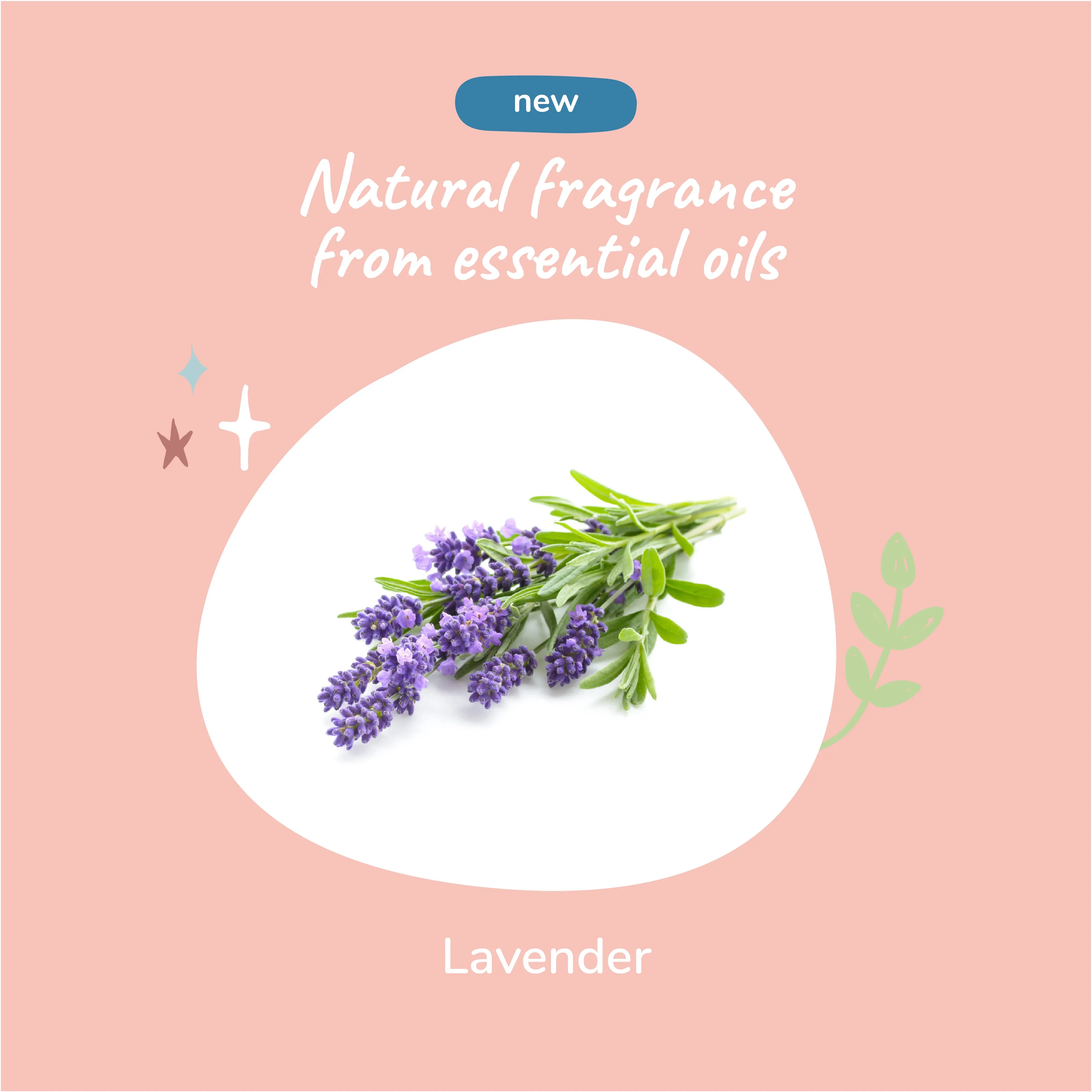 Oatmeal Shampoo (Lavender)