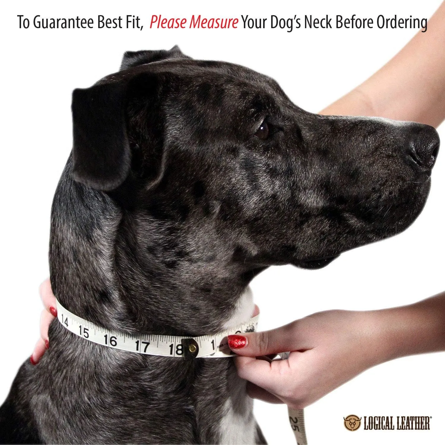 Premium Leather Dog Collar - Best Full Grain Heavy Duty Genuine Leather Collar (Blue, Large)
