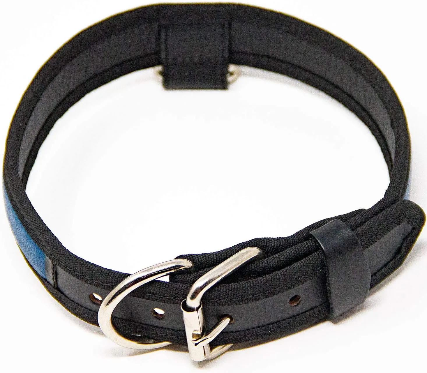 Premium Leather Dog Collar - Best Full Grain Heavy Duty Genuine Leather Collar (Blue, Large)
