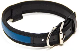 Premium Leather Dog Collar - Best Full Grain Heavy Duty Genuine Leather Collar (Blue, Large)