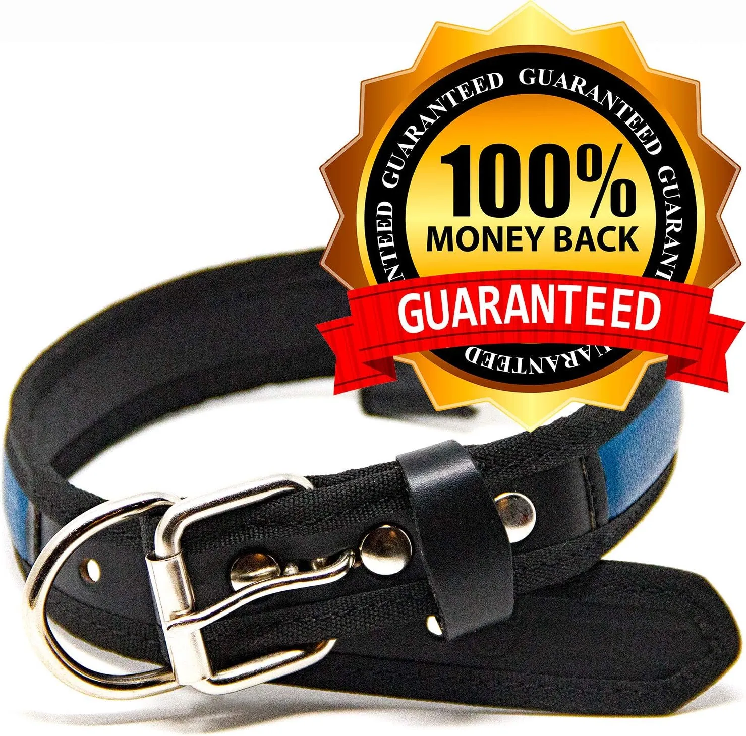 Premium Leather Dog Collar - Best Full Grain Heavy Duty Genuine Leather Collar (Blue, Large)