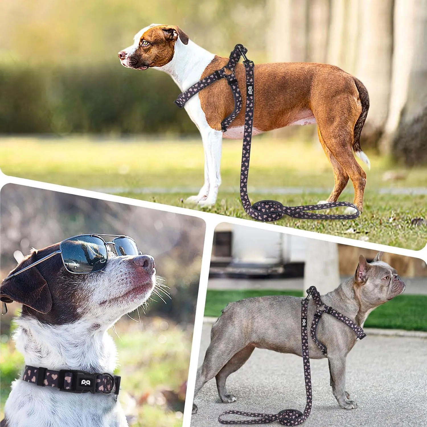 QQPETS Dog Harness Collar Leash - No Pull Pet Adjustable Back Clip Halter Basic Collar Heavy Duty 5FT Anti-Twist Leash for Extra Small Puppy Medium Large Breed Training Easy Walk(XS,Black Heart)