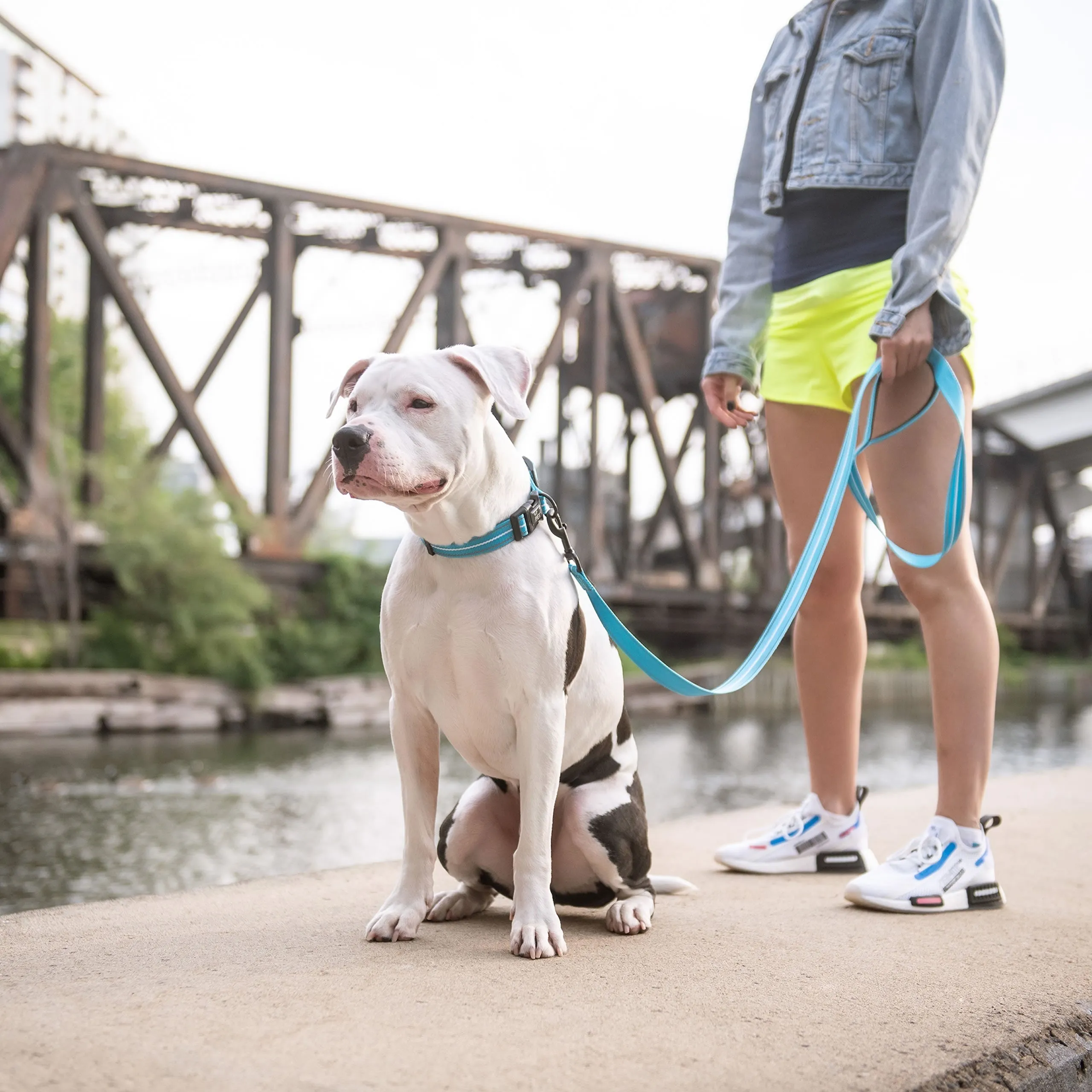Reflective Dog Leash – Durable, High-Visibility, and 6 Feet Long